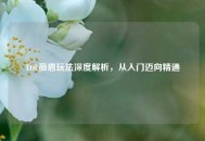 LOL薇恩玩法深度解析，从入门迈向精通