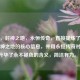 科隆，封神之地，永恒传奇，直接提炼了科隆是封神之地的核心信息，并用永恒传奇对应和升华了永不褪色的含义，简洁有力。）