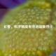 长春，和平精英电竞培训新热土