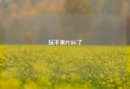 玩不来PUBG了