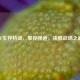 CF生存特训，掌控弹道，决胜战场之巅