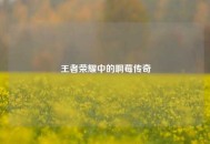 王者荣耀中的啊莓传奇