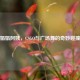 娟娟阿姨，CSGO与广场舞的奇妙碰撞