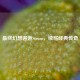 最终幻想邂逅Steam，续写经典传奇