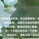 顶尖较量毫厘定乾坤，积分胶着胜负一线间，说明，，直接来源， 标题完全源自您提供的顶尖较量，积分胶着，毫厘定乾坤三要素。，精炼组合， 将三个关键点组合成一个连贯、有力的标题。，突出核心， 清晰点明了顶尖较量的性质，积分胶着的状态，以及毫厘定乾坤的决胜特点。，结构对仗， 毫厘定乾坤与胜负一线间形成对仗，增强节奏感和力度。