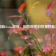 丑脸Steam游戏，别样风格中的独特魅力