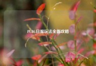 PUBG日服玩法全面攻略