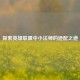 探索英雄联盟中小法师的适配之道