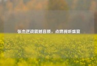 张杰逆战震撼音质，点燃视听盛宴