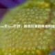 Steam充Apex打折，游戏玩家迎来福利盛宴