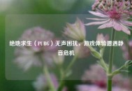 绝地求生（PUBG）无声困扰，游戏体验遭遇静音危机