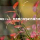 龙珠杯 CSGO，电竞舞台绽放的热血与 *** 