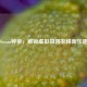 Steam种菜，解锁虚拟田园农耕新乐趣