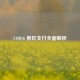 COD16 俄区支付全面解析
