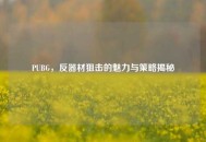 PUBG，反器材狙击的魅力与策略揭秘