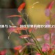 旋涡与 Steam，游戏世界的奇妙交织之旅