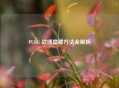 PUBG 战绩隐藏 *** 全解析