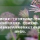 需注意这就是一个符合要求的标题，若你还有关于此标题的其他需求，比如调整风格、字数等，或者有新的内容需要我据此生成标题，请随时告知。