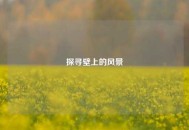 探寻壁上的风景