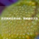 逆战换购选择攻略，揭秘更佳之选