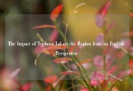 The Impact of Typhoon Lol on the Region from an English Perspective