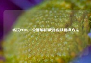 畅玩PUBG，全面解析武器皮肤更换 *** 