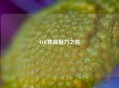 LOL独具魅力之名