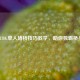 PUBG单人堵桥技巧教学，助你独霸桥头