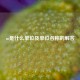 m是什么单位及单位名称的解答