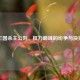 三国杀主公刘，权力巅峰的纷争与抉择