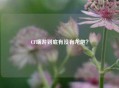 CF端游到底有没有龙炮？