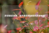 逆战固定准星，提升射击精准度的关键秘籍