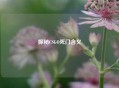 探秘CSGO死门含义