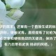 根据你的需求，这里有一个直接生成的标题，，神兵消形，硬核试炼，直接提炼了化枪为无形的核心意象和硬核挑战的关键词，保持了简洁有力且带有武侠/挑战的风格。)