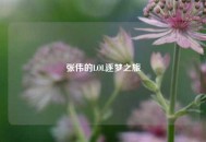 张伟的LOL逐梦之旅