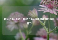 畅玩 PUBG 手游，揭秘 PUBG 移动加速器的神奇魔力