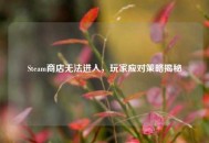 Steam商店无法进入，玩家应对策略揭秘