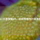 2017王者荣耀KPI，游戏辉煌与行业洞察