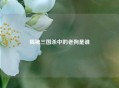 揭秘三国杀中的老狗是谁