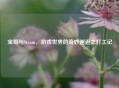 宝哥与Steam，游戏世界的奇妙邂逅之打工记
