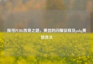 探寻PUBG传奇之路，黄信的闪耀征程及pubg黄信含义