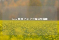 Steam 禁用 IP 及 IP 共享详细指南