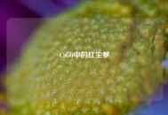 CSGO中的红尘梦