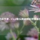 卡点节奏，CSGO爆头瞬间精彩剪辑盛宴