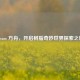 Steam 方舟，开启树脂奇妙世界探索之旅