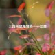 三国杀隐秘骁将——邓展