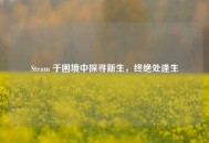Steam 于困境中探寻新生，终绝处逢生