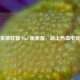 畅玩英雄联盟 Mac 版美服，踏上热血电竞征程