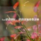 Scar逆战团队，逆战战场传奇之师