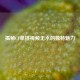 揭秘CF单挑视频无水的独特魅力